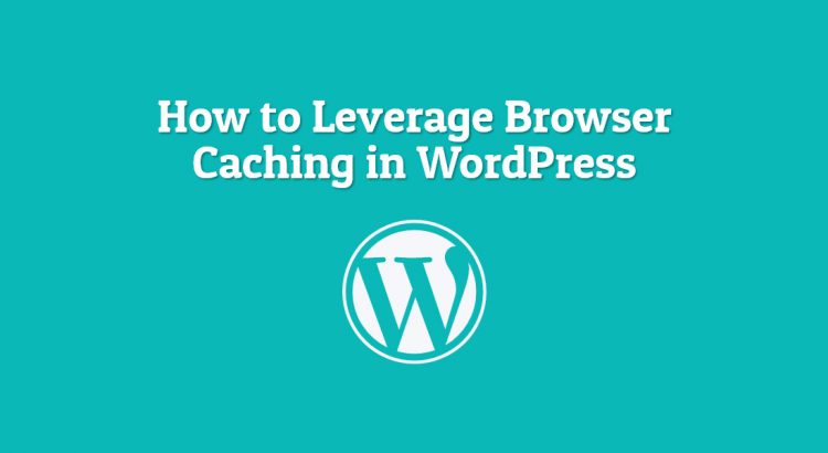 leverage browser caching